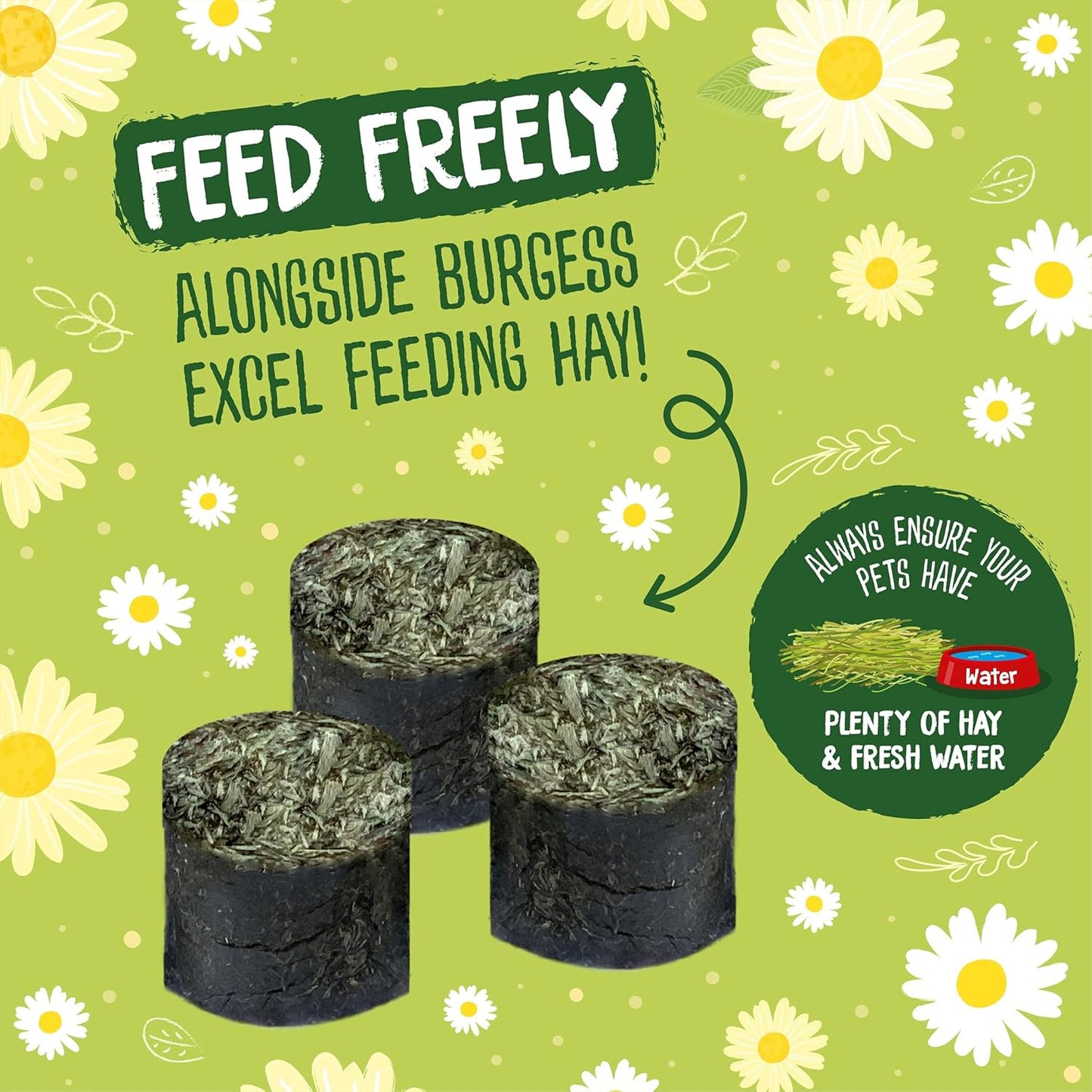 Excel Meadow Munchies for Rabbits, Guinea Pigs and Chinchillas, 1 Kg (Pack of 1)