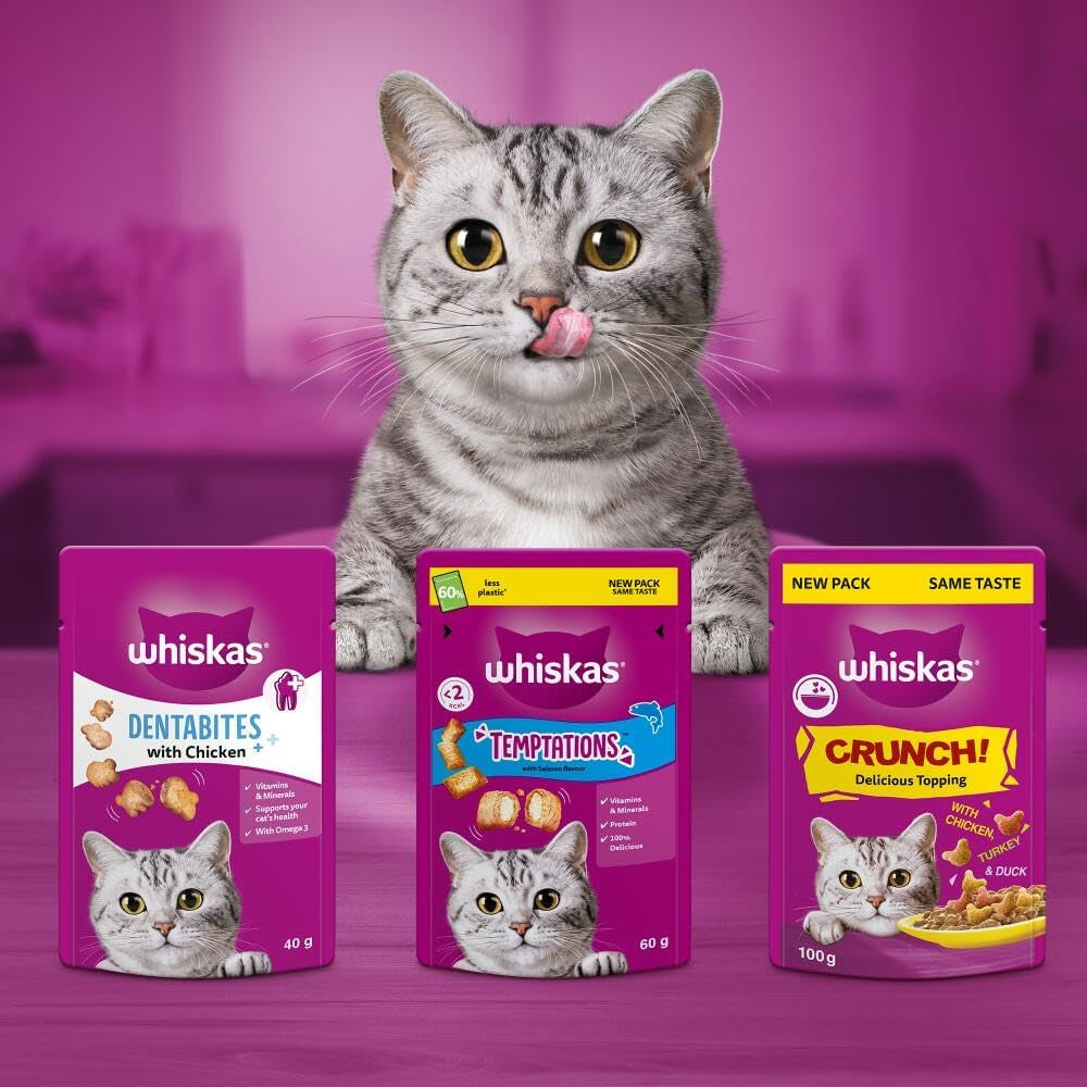 Whiskas Temptations Delicious Cat Treats with Chicken and Cheese 60 G (Pack of 6)
