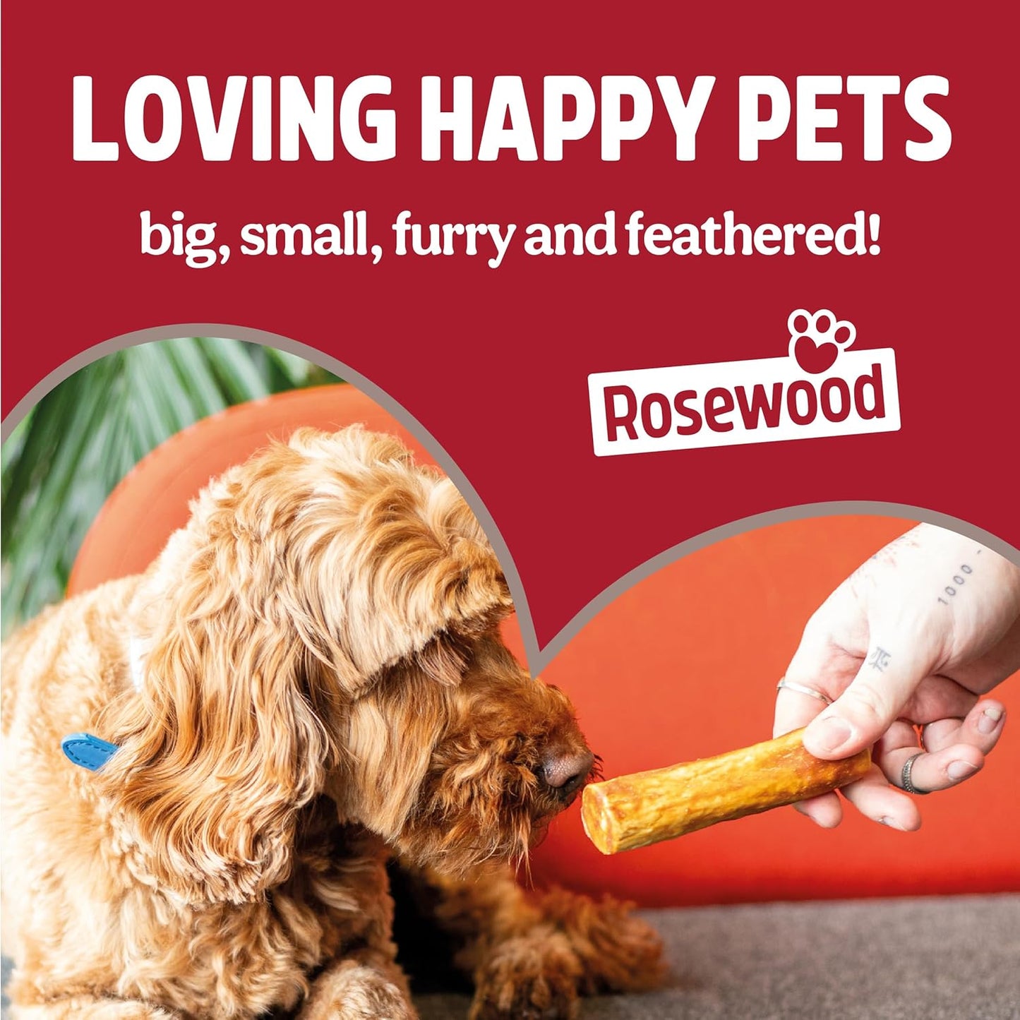 Medium Trio Sticks for Dogs - Made with Chicken, Grain Free Chews, High Protein Dog Treats, by Pets Unlimited (3Pc, 90G)