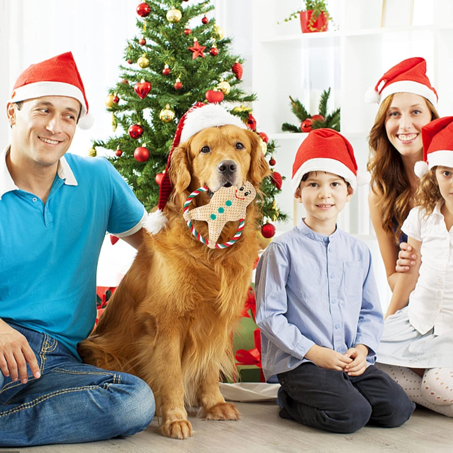 Christmas Dog Toys,Xmas Plush Stuffed Squeaky Pet Chew Toy Interactive Ginger Man Throw Bite Sounding Toys Funny Tug of War Dog Toy for Pet Puppy Small Medium Large Dogs Teeth Grinding Training