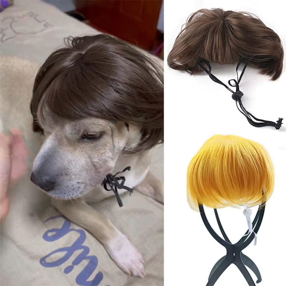 Cosplay Props Pet Wigs Head Accessories Photography Props Dog Cat Cross-Dressing Hair Prank Pet Supplies Wig Cap Hat Christmas