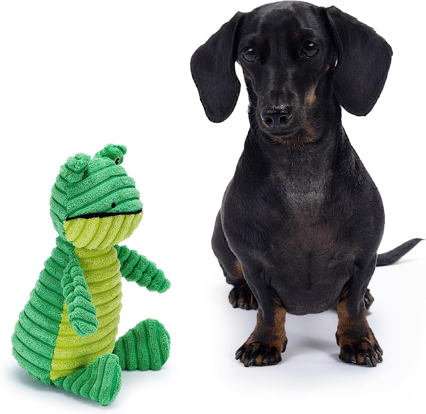 Green Frog Plush Dog Toy with Squeaker – Soft, Ribbed Fabric for Interactive Play. a Great Choice for Small and Medium Dogs' Playtime with Squeaky Toys.