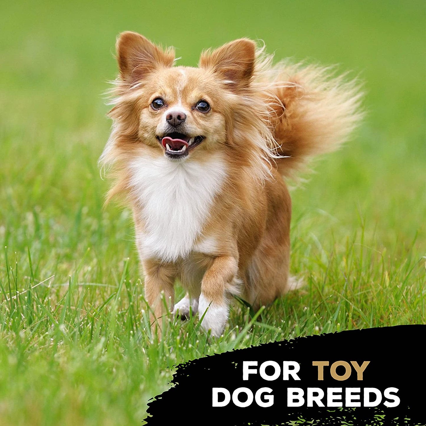 Tastybone Triobone Nylon Dog Chew Toy for Toy Dogs (Peanut Butter) - Indestructible for Aggressive Chewers, Everlasting Flavour, Strong Healthy Teeth, Made in the UK