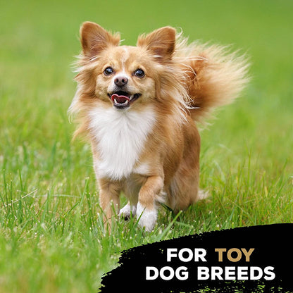 Tastybone Triobone Nylon Dog Chew Toy for Toy Dogs (Peanut Butter) - Indestructible for Aggressive Chewers, Everlasting Flavour, Strong Healthy Teeth, Made in the UK