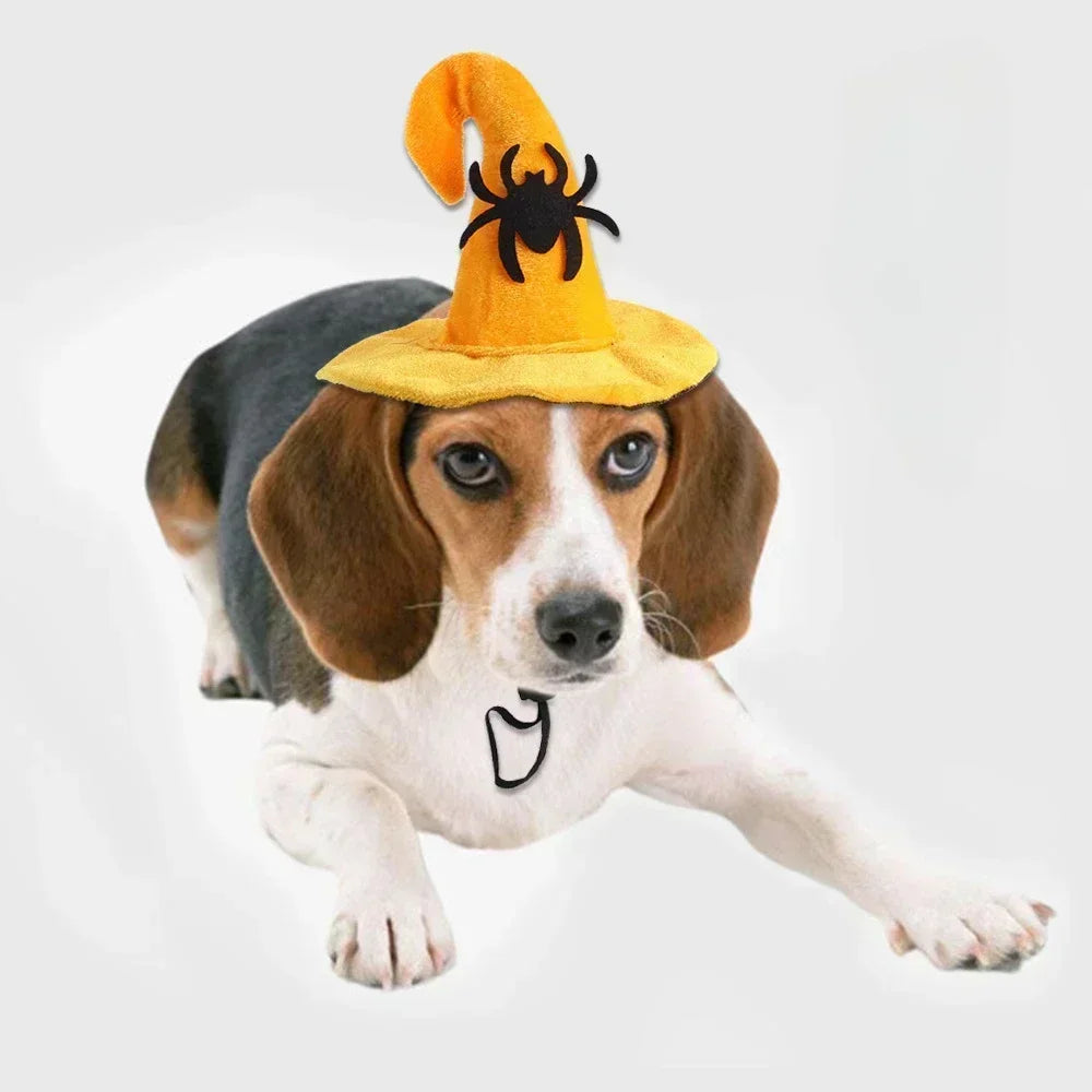 Fashion Cat Clothes Bat Wings Funny Dog Costume Artificial Wing Pet Cosplay Prop Halloween Christmas Cat Costume Pet Products