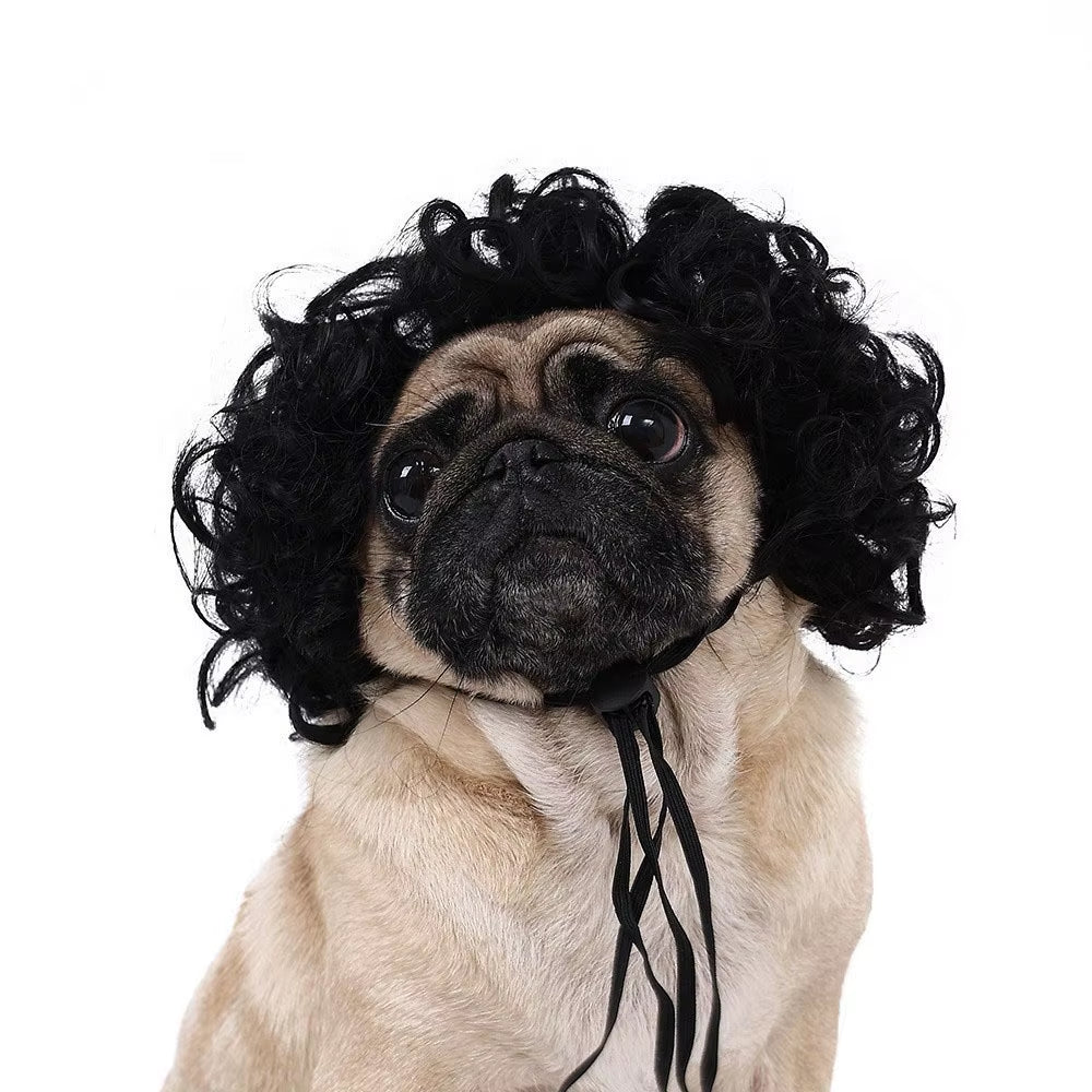 Creative Funny Pet Wig Adjustable Afro Design Dog Wig Elastic Band Design Cat Wig Pet Cosplay Props Photography Prank Gifts