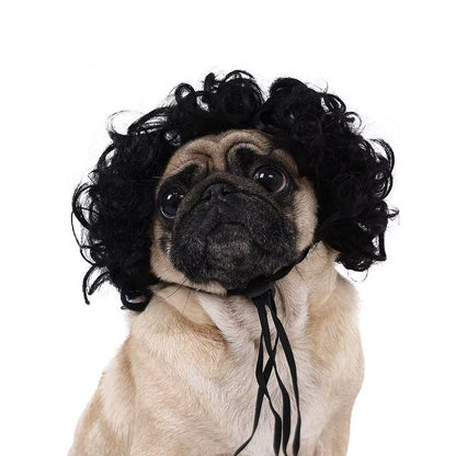 Creative Funny Pet Wig Adjustable Afro Design Dog Wig Elastic Band Design Cat Wig Pet Cosplay Props Photography Prank Gifts