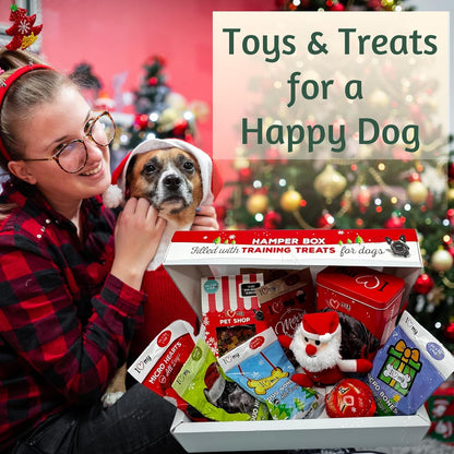 Dog Gift Hamper - 6X 100G Assorted Dogs Treats, 175G Treat, Soft Toy and Tin Can - Gifts for Dogs, Training Treats for Dog