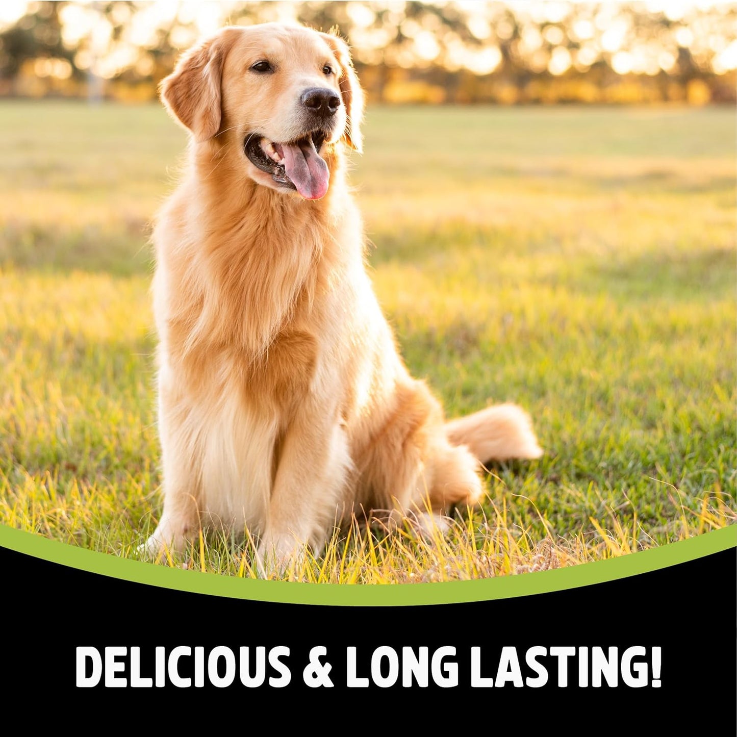 Duck Coins for Dogs - Made with Real Meat, Rawhide Free Chews, Grain Free, High Protein, Small Dog Treats, Great for Training (100G)