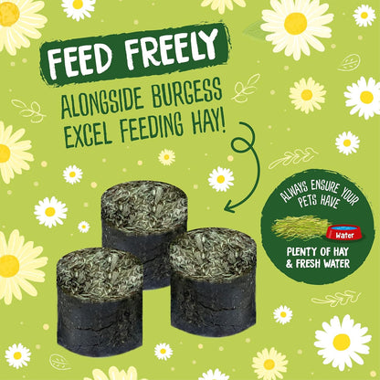 Excel Meadow Munchies for Rabbits, Guinea Pigs and Chinchillas, 1 Kg (Pack of 1)
