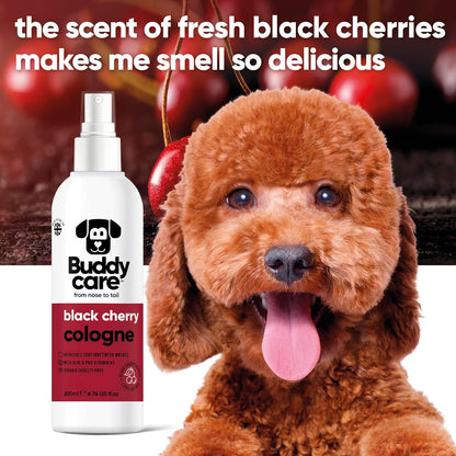 Buddycare Dog Cologne Spray Scented (200Ml) Refreshing Dog Perfume for Smelly Dogs | Safe to Skin Formula Dog Deodorant Spray for Smelly Dogs