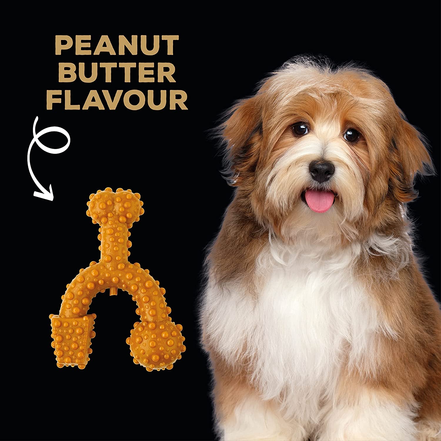 Tastybone Triobone Nylon Dog Chew Toy for Toy Dogs (Peanut Butter) - Indestructible for Aggressive Chewers, Everlasting Flavour, Strong Healthy Teeth, Made in the UK