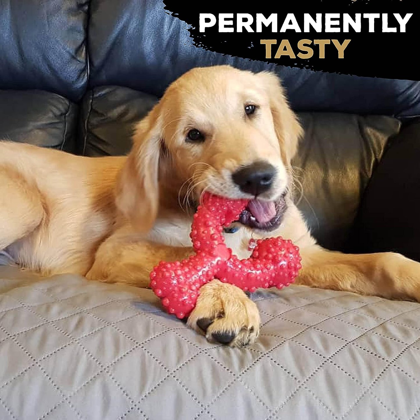 Tastybone Triobone Nylon Dog Chew Toy for Large Dogs (Beef) - Indestructible for Aggressive Chewers, Everlasting Flavour, Strong Healthy Teeth, Made in the UK