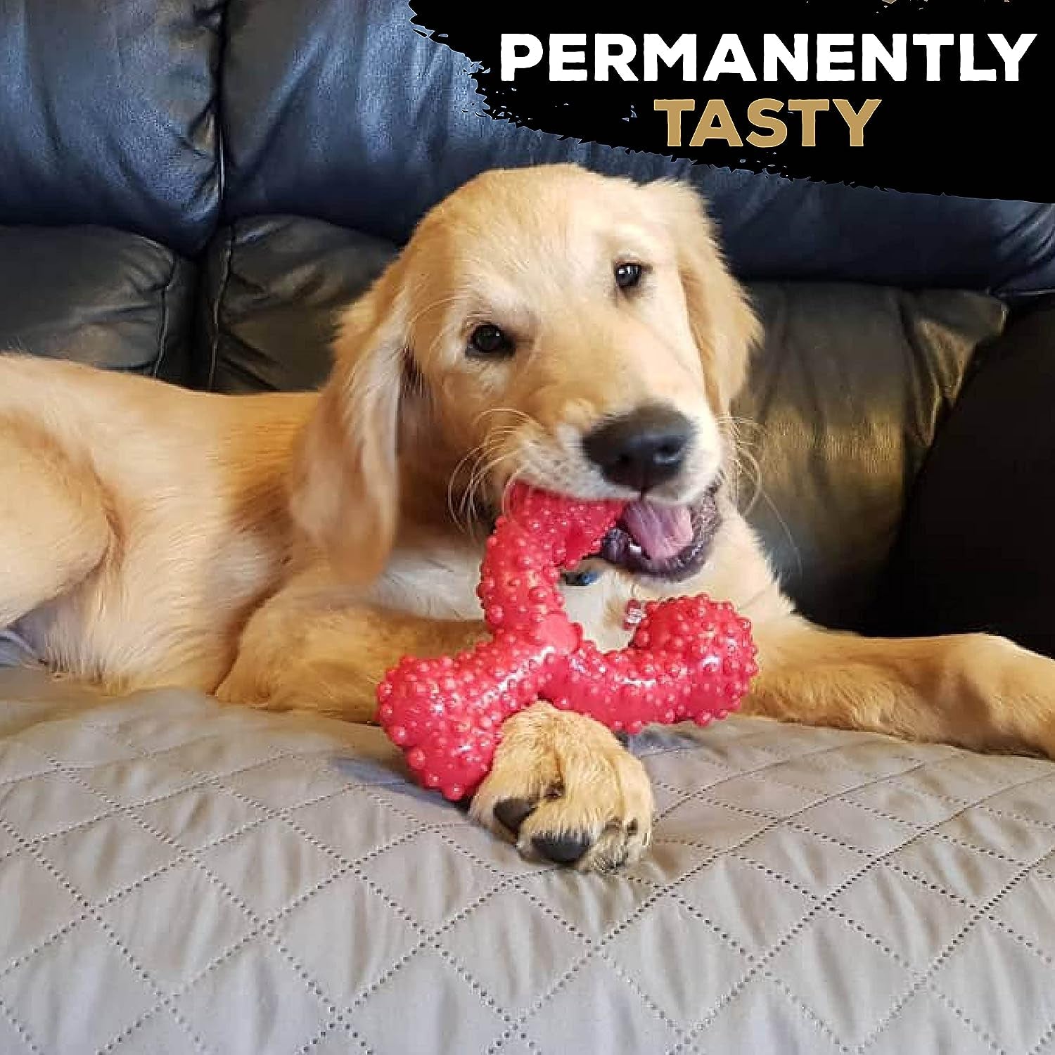 Tastybone Triobone Nylon Dog Chew Toy for Large Dogs (Beef) - Indestructible for Aggressive Chewers, Everlasting Flavour, Strong Healthy Teeth, Made in the UK