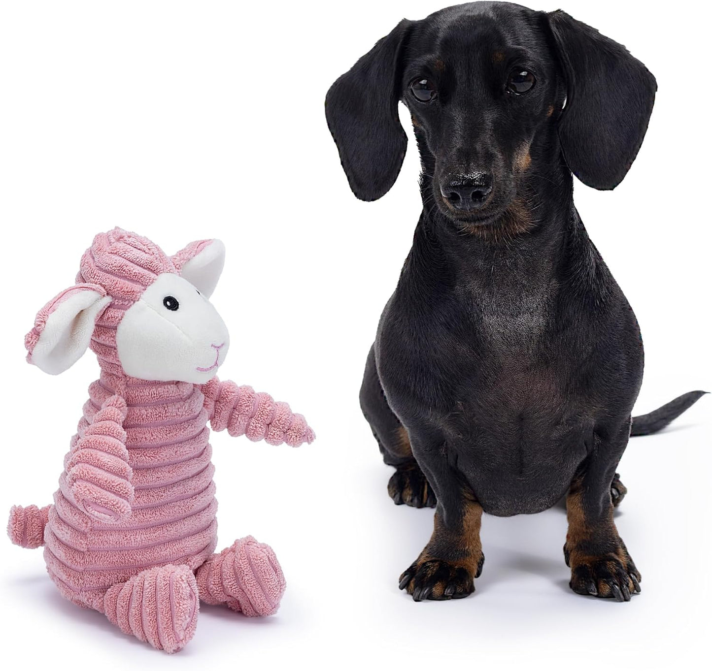 Pink Lamb Plush Dog Toy with Squeaker – Soft, Durable, Ribbed Design for Play, Suitable for Small and Medium Dogs. Ideal for Engaging Playtime.