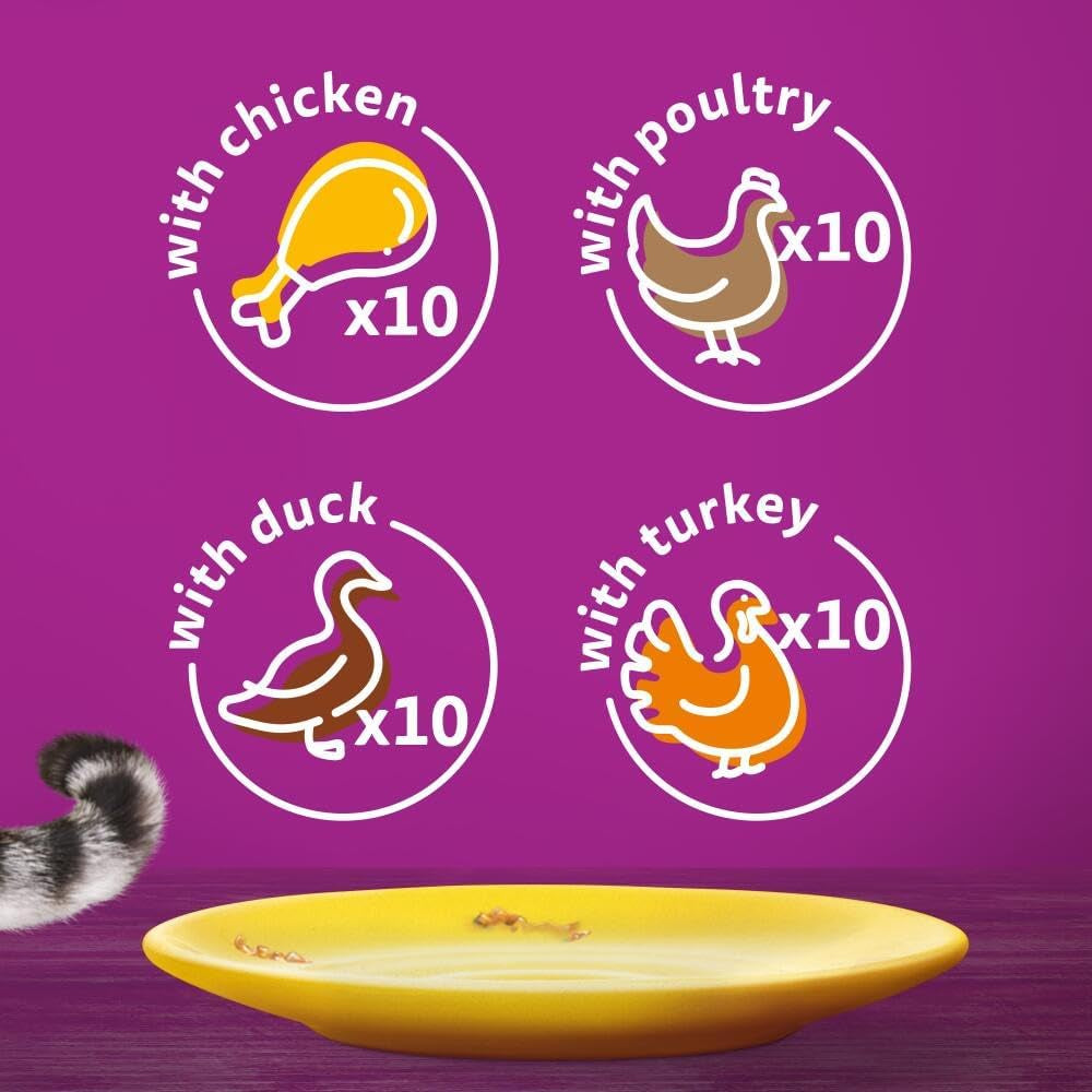 Wishkas  1+ Adult Wet Cat Food Pouches - 40 X 85 G - Poultry Selection - Bulk Cat Food Megapack - 40 Jelly Pouches