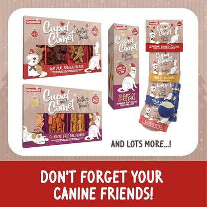 Cupid & Comet Advent Calendar for Cats, Yoghurt & Catnip Flavour Cat Treats