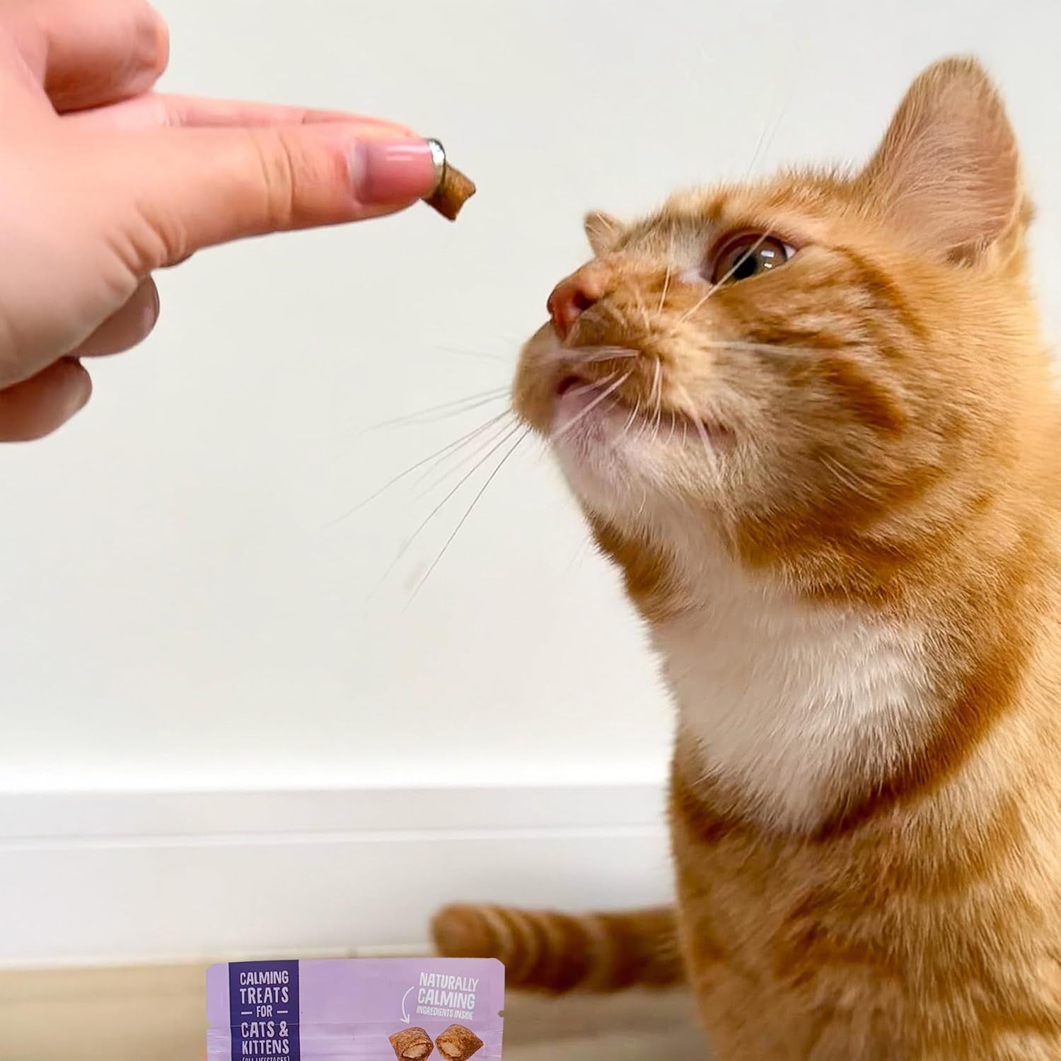 Scrumbles Calming Krunchies Cat Treats