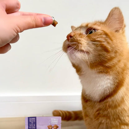 Scrumbles Calming Krunchies Cat Treats