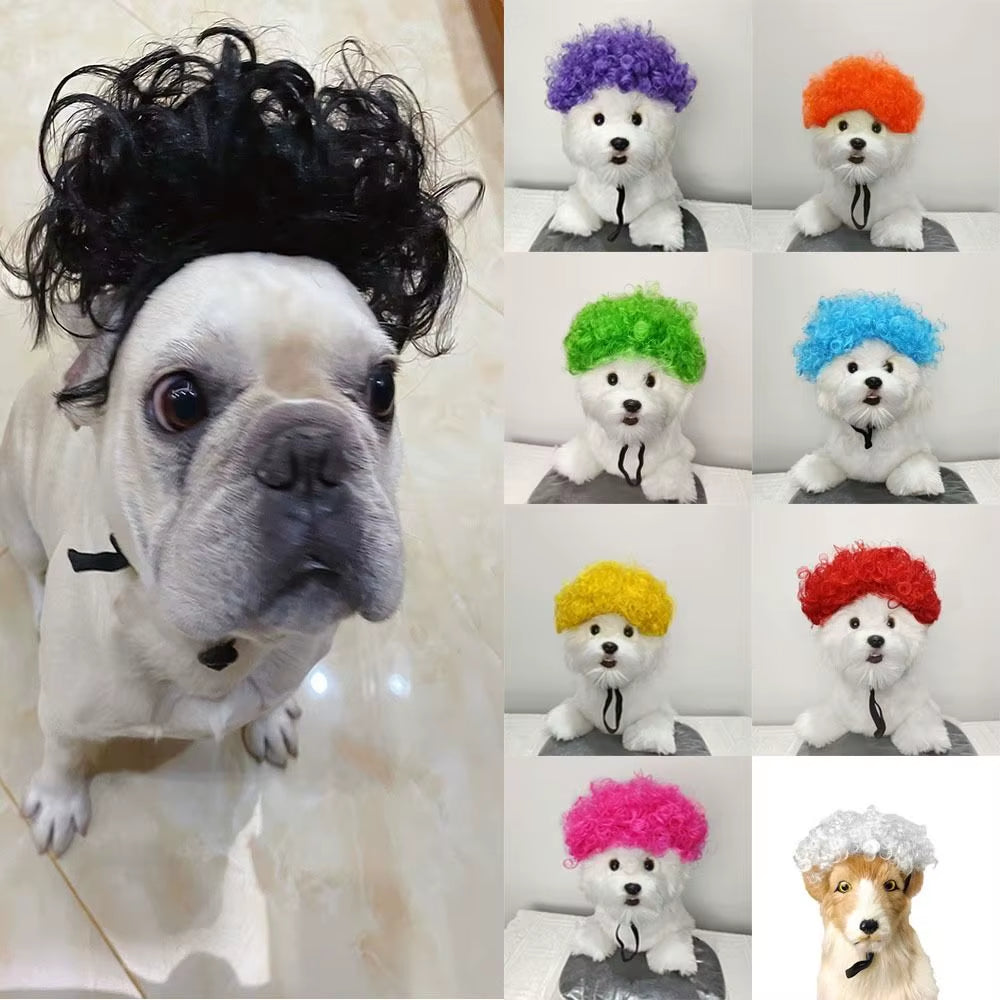 Creative Funny Pet Wig Adjustable Afro Design Dog Wig Elastic Band Design Cat Wig Pet Cosplay Props Photography Prank Gifts