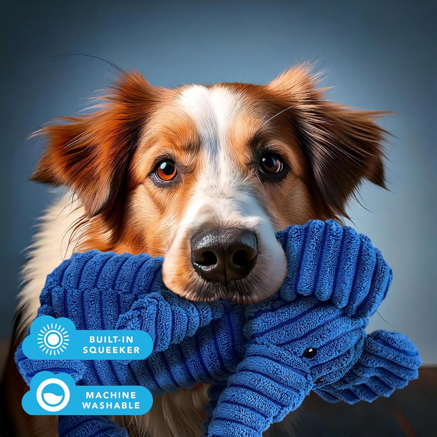 Blue Elephant Plush Dog Toy with Squeaker – Soft, Durable, Ribbed Plush for Cuddling and Play. Perfect for Small and Medium Dogs Who Enjoy a Squeaky Toy for Comfort and Interaction.