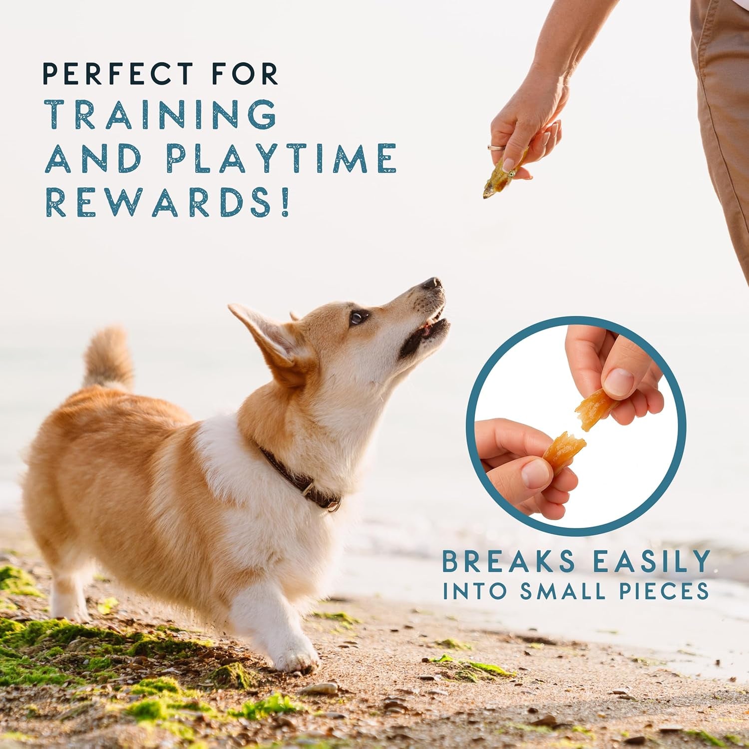 Natural Sprats Dog Treats 70G | 100% Chicken-Wrapped Wild-Caught Sprats | High Protein, Omega 3-Rich Fish Dog Treats | Air-Dried, Easy to Digest & Perfect for Training