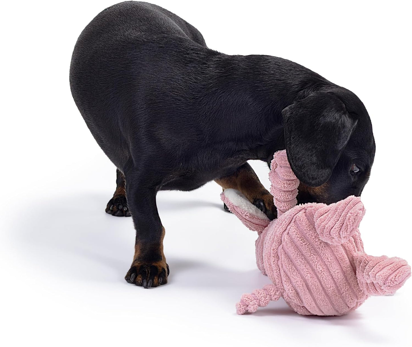 Pink Lamb Plush Dog Toy with Squeaker – Soft, Durable, Ribbed Design for Play, Suitable for Small and Medium Dogs. Ideal for Engaging Playtime.