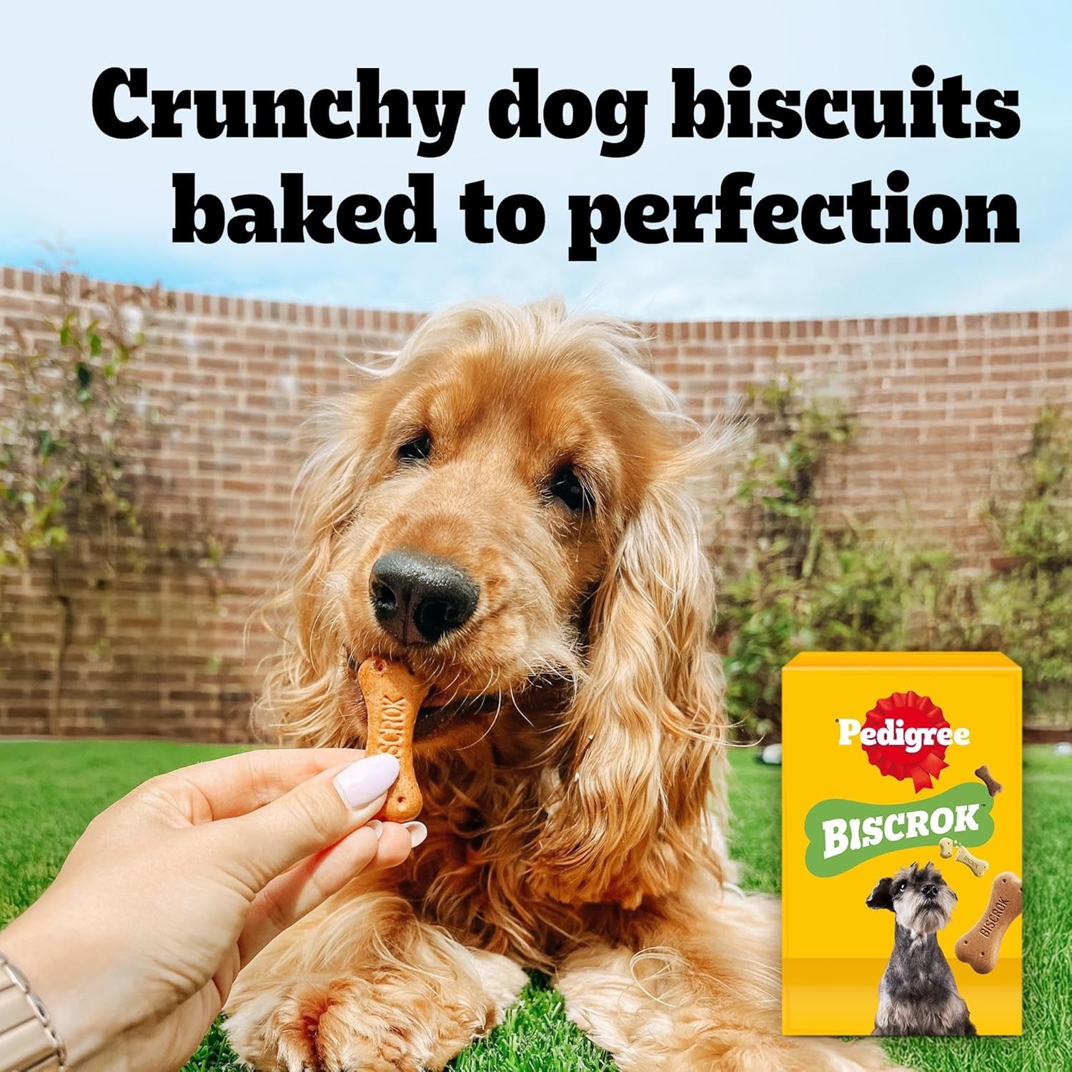 Biscrok Multi Mix - Dog Treats - Bone-Shaped Biscuits - 500 G