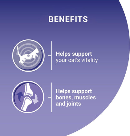 Adult Cat Food Mini Fillets in Gravy 40 X 85G