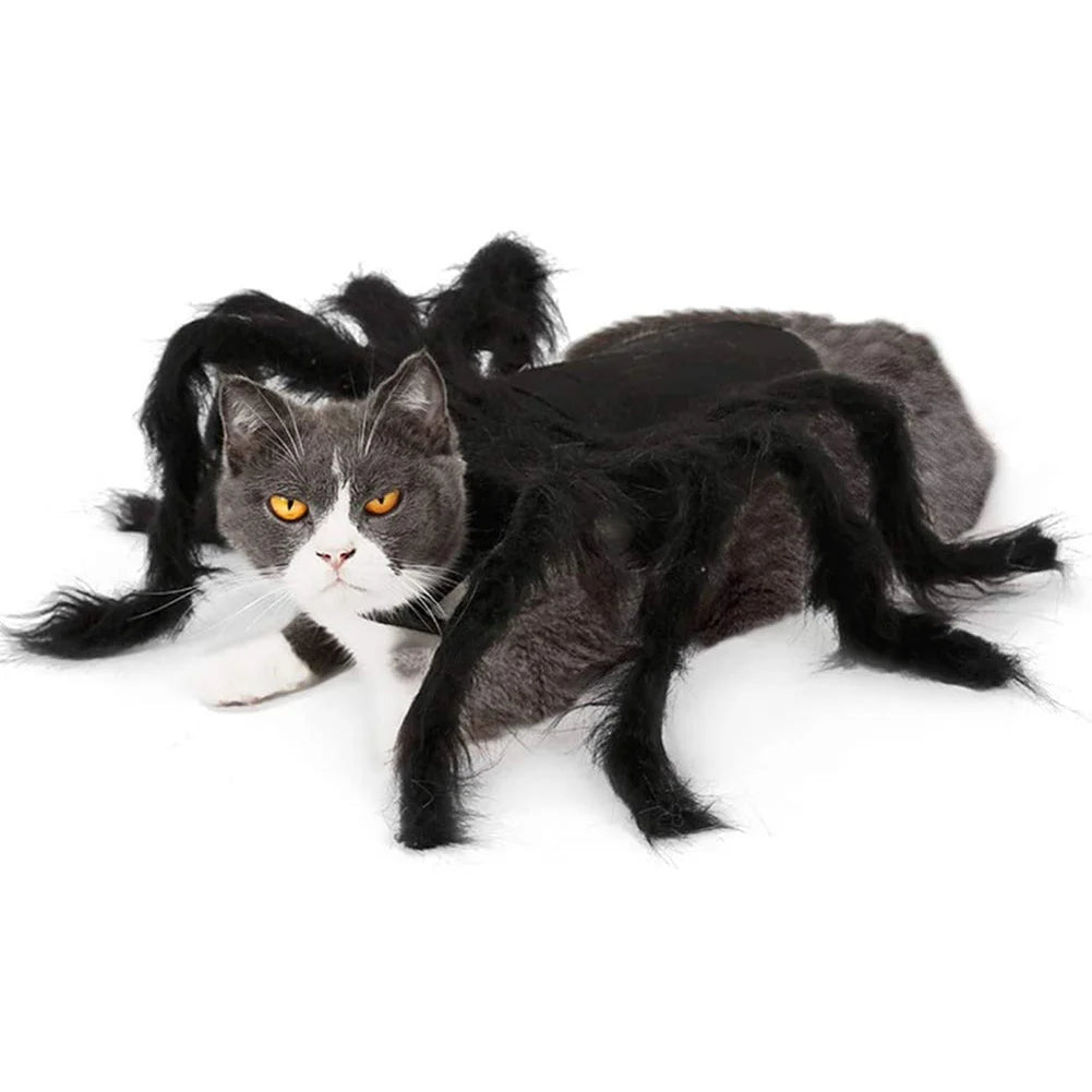 Halloween Spider Clothes for Pet Dog Cat Spider Costumes Dressing up Pet Clothes Pet Halloween Props Party Clothing Accessories