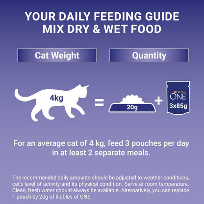 Adult Cat Food Mini Fillets in Gravy 40 X 85G