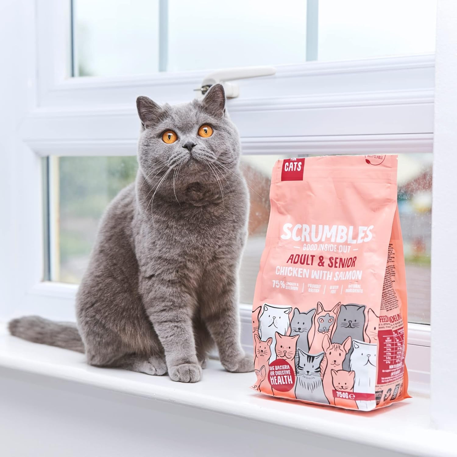 Scrumbles All Natural Dry Cat Food with Chicken and Fresh Salmon, High Protein Food for Adults and Seniors, 2.5 Kg,Pink Bag