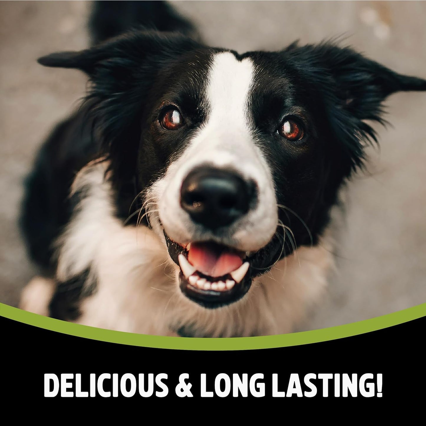 Medium Chewy Bones for Dogs - Made with Duck, Grain Free Chews, High Protein Dog Treats, by Pets Unlimited (2Pc, 80G)