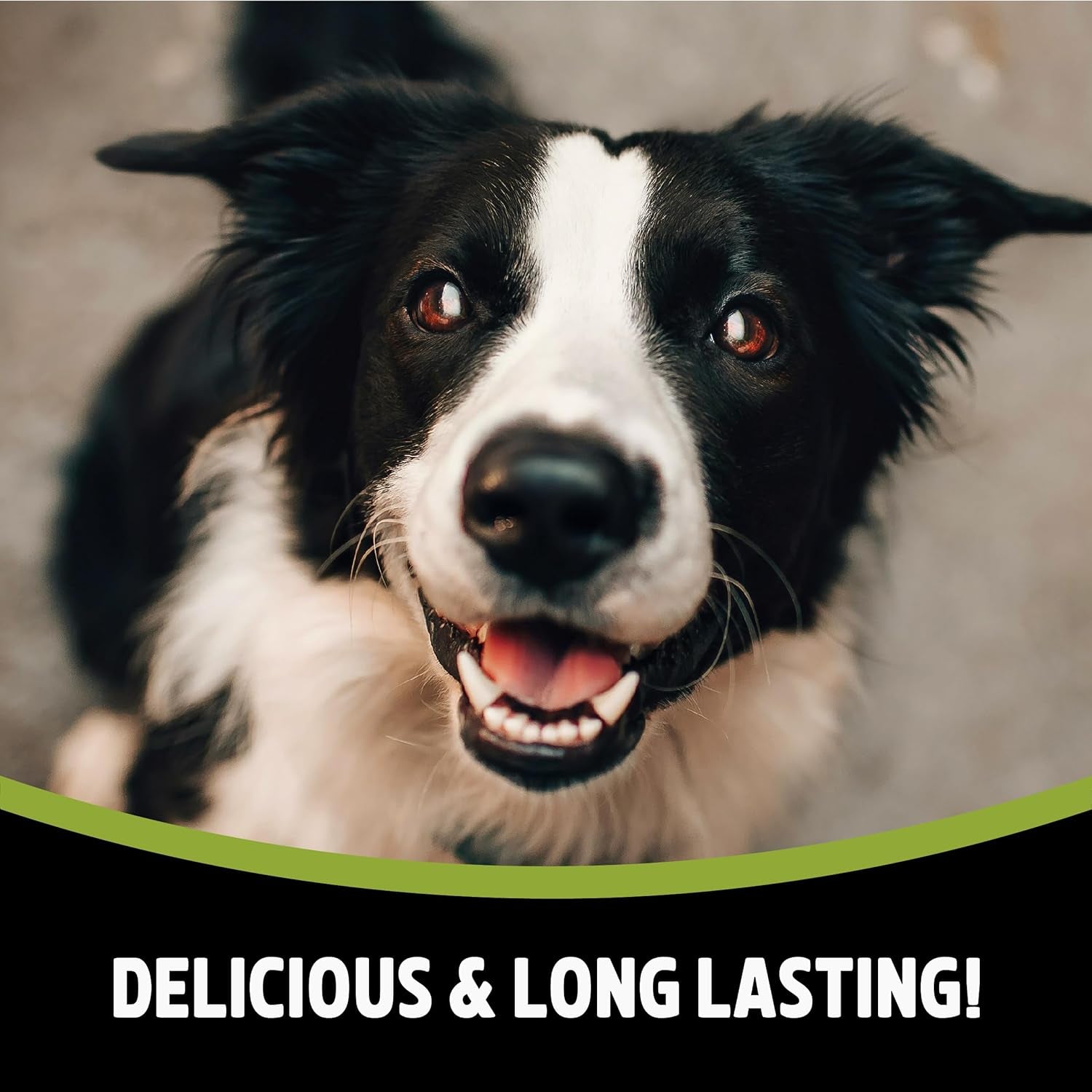 Medium Chewy Bones for Dogs - Made with Duck, Grain Free Chews, High Protein Dog Treats, by Pets Unlimited (2Pc, 80G)