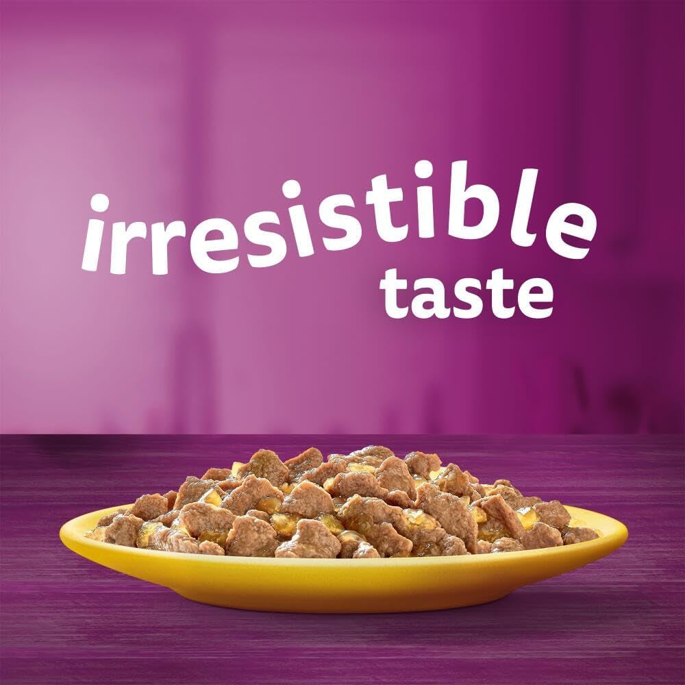 Wishkas  1+ Adult Wet Cat Food Pouches - 40 X 85 G - Poultry Selection - Bulk Cat Food Megapack - 40 Jelly Pouches
