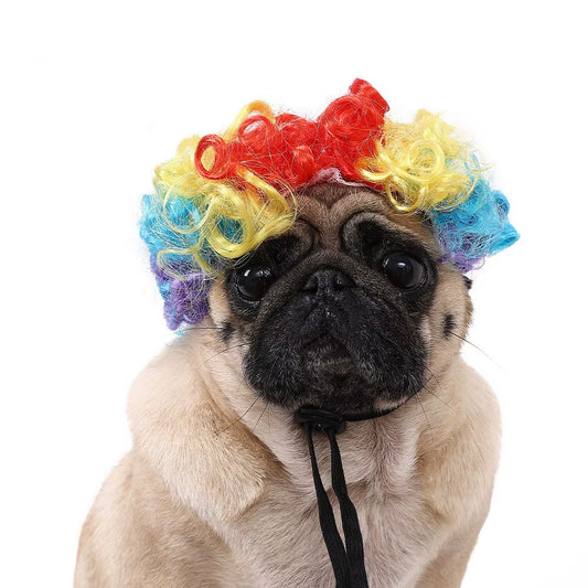 Creative Funny Pet Wig Adjustable Afro Design Dog Wig Elastic Band Design Cat Wig Pet Cosplay Props Photography Prank Gifts