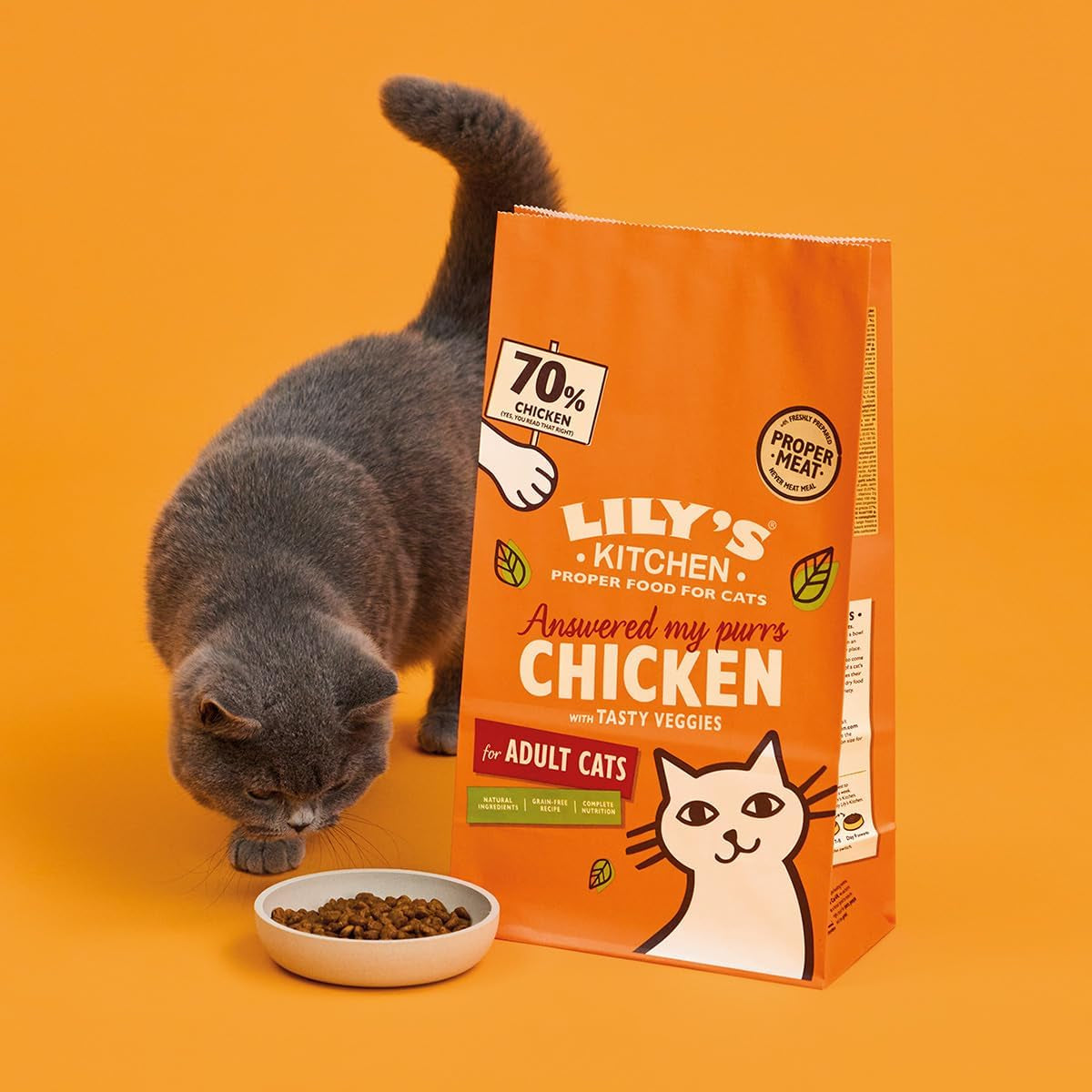 Made with Natural Ingredients Adult Dry Cat Food Bag Chicken with Veggies Grain-Free Recipe 2Kg