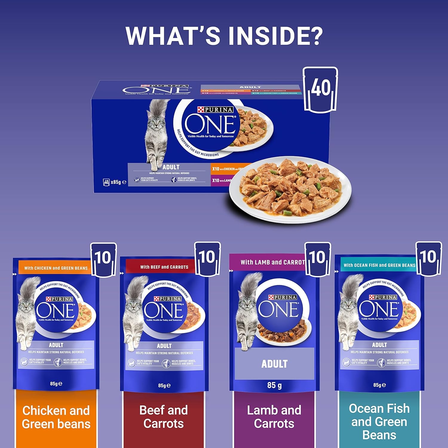 Adult Cat Food Mini Fillets in Gravy 40 X 85G