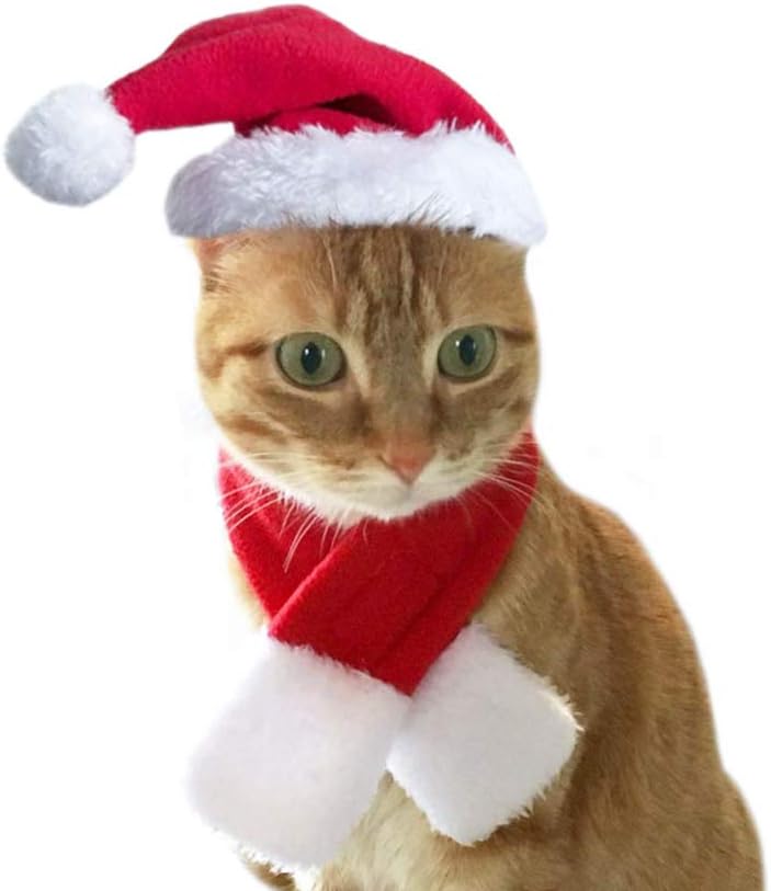 Outfit 4 Pcs Cat Pet Dog Clothes, Reindeer Headbands Red Hooded Coat Cute Santa Hat & Scarf Cute, Funny Pet Costume Suit for Small Cats Dogs Christmas Halloween Cosplay Party Fun