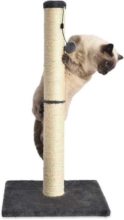Cat Scratching Post for Indoor Cats, Standard with Dangling Toy, 80 Cm, Grey
