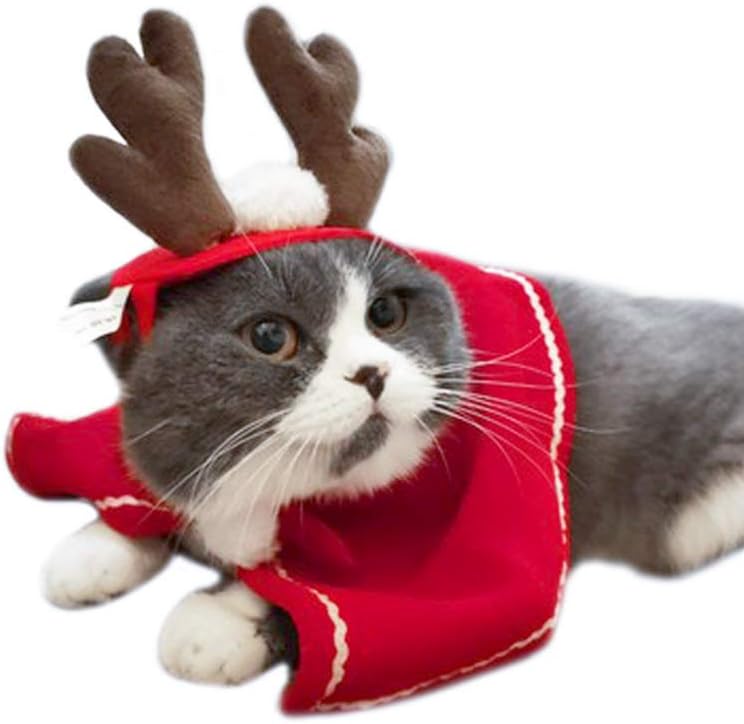 Outfit 4 Pcs Cat Pet Dog Clothes, Reindeer Headbands Red Hooded Coat Cute Santa Hat & Scarf Cute, Funny Pet Costume Suit for Small Cats Dogs Christmas Halloween Cosplay Party Fun
