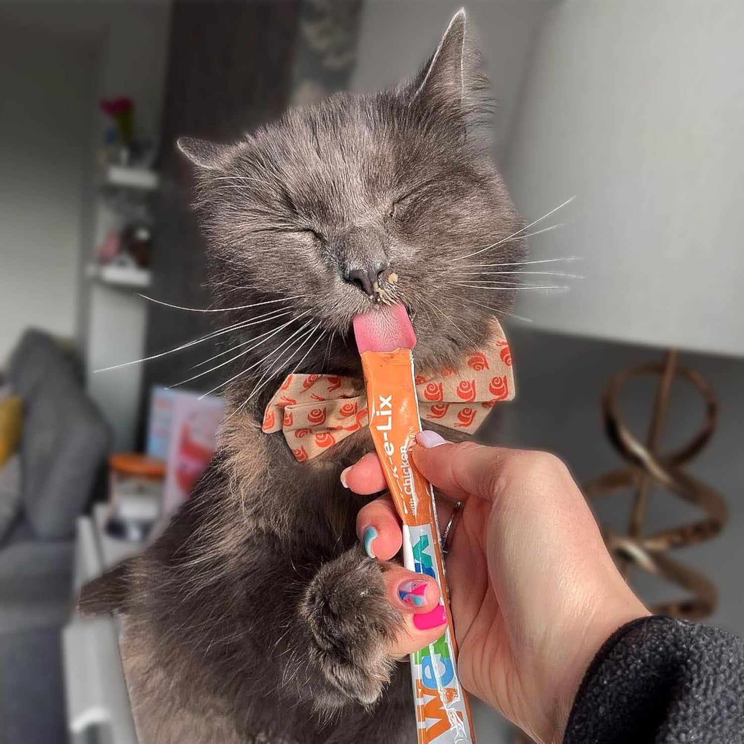 Lick-E-Lix Cat Treats Variety Mega Pack - Kitten Friendly, Grain Free, No Artificial Preservatives or Colours (50 Pack)