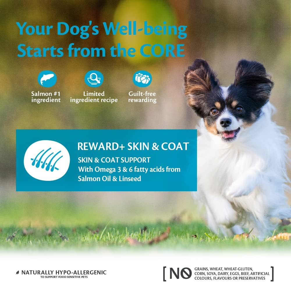 Reward+ Skin & Coat, 170G, Salmon, Soft Dog Treats for All Dog Breeds, All-Natural, Grain-Free, High Meat Content, Protein-Rich, Supports Healthy Skin & Coat