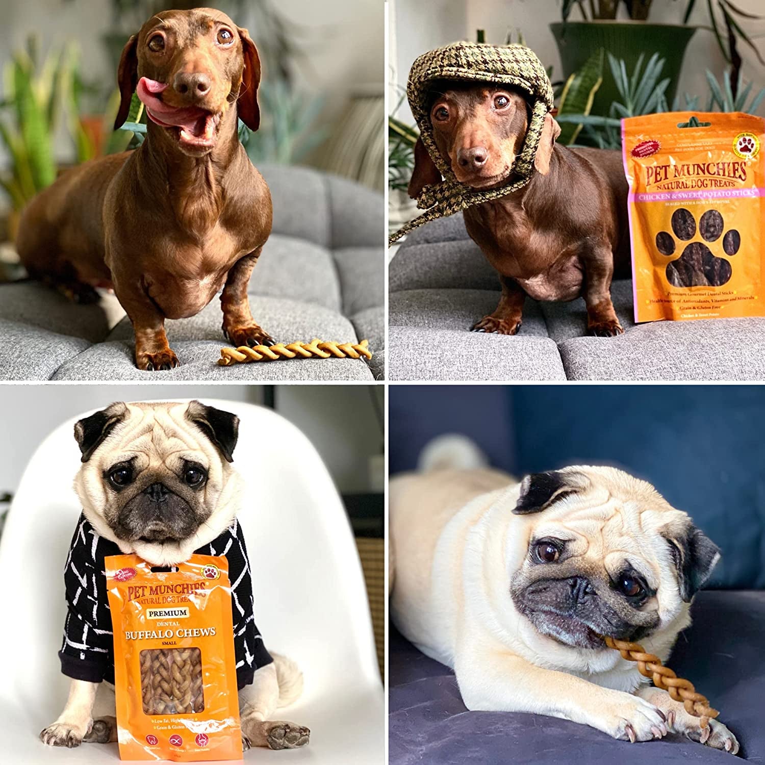 Venison Stix Dog Treats, Healthy Training Treats with Natural Ingredients 50G (5 Chews)