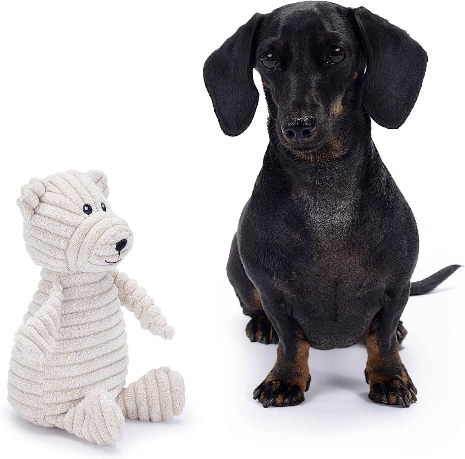 Bear Plush Dog Toy with Squeaker – Soft, Durable, Ribbed Design for Playful Sessions. Ideal for Small and Medium Dogs Who Need a Durable Toy for Interactive Fun.