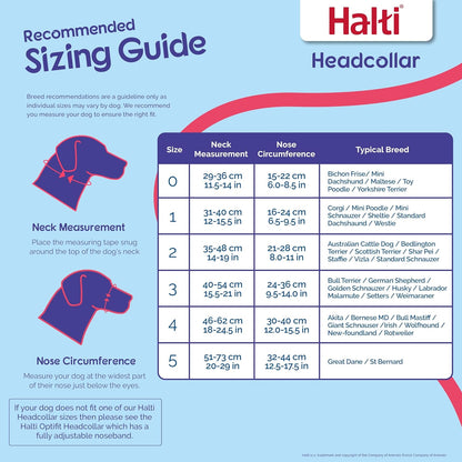 HALTI Headcollar Size 3 Black, UK Bestselling Harness to Stop Pulling on the Lead, Easy to Use, Padded Nose Band, Adjustable & Reflective, Professional Anti-Pull Training Aid for Medium Dogs