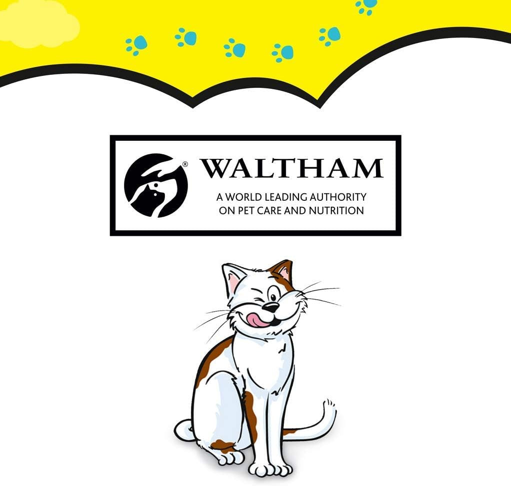 Dreamies Cat Treats - 12 X 60G - Multipack Biscuits - Variety Snack Box - 12 Pouches