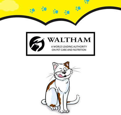 Dreamies Cat Treats - 12 X 60G - Multipack Biscuits - Variety Snack Box - 12 Pouches