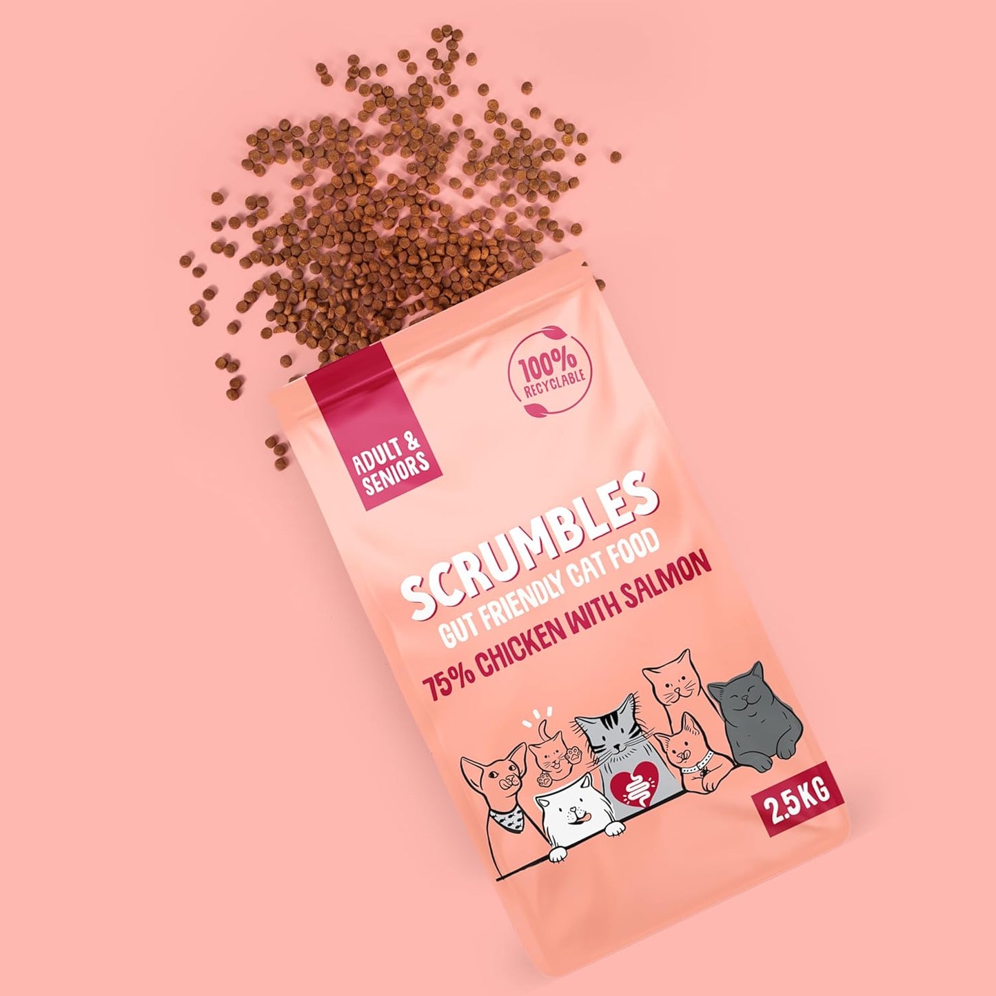 Scrumbles All Natural Dry Cat Food with Chicken and Fresh Salmon, High Protein Food for Adults and Seniors, 2.5 Kg,Pink Bag