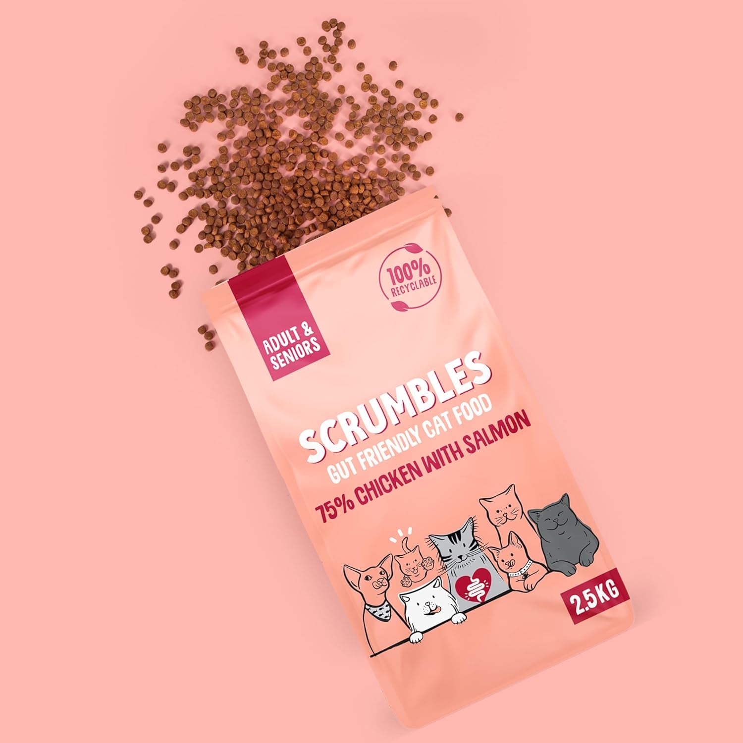 Scrumbles All Natural Dry Cat Food with Chicken and Fresh Salmon, High Protein Food for Adults and Seniors, 2.5 Kg,Pink Bag